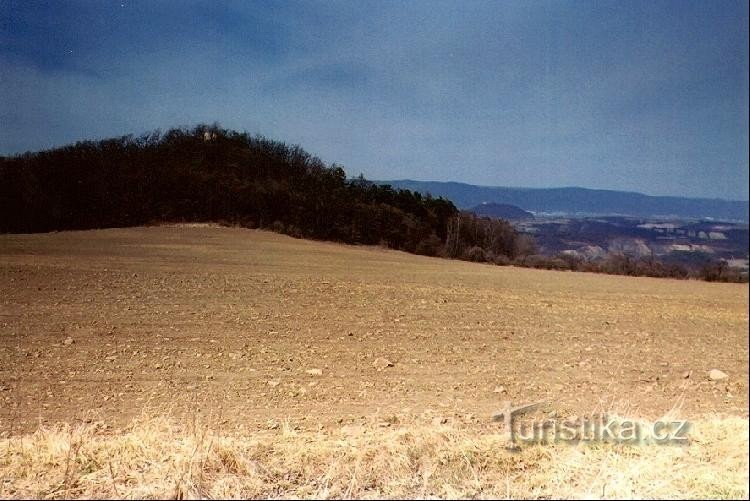 Pohradická hora：从黄色标记路线看到的景色