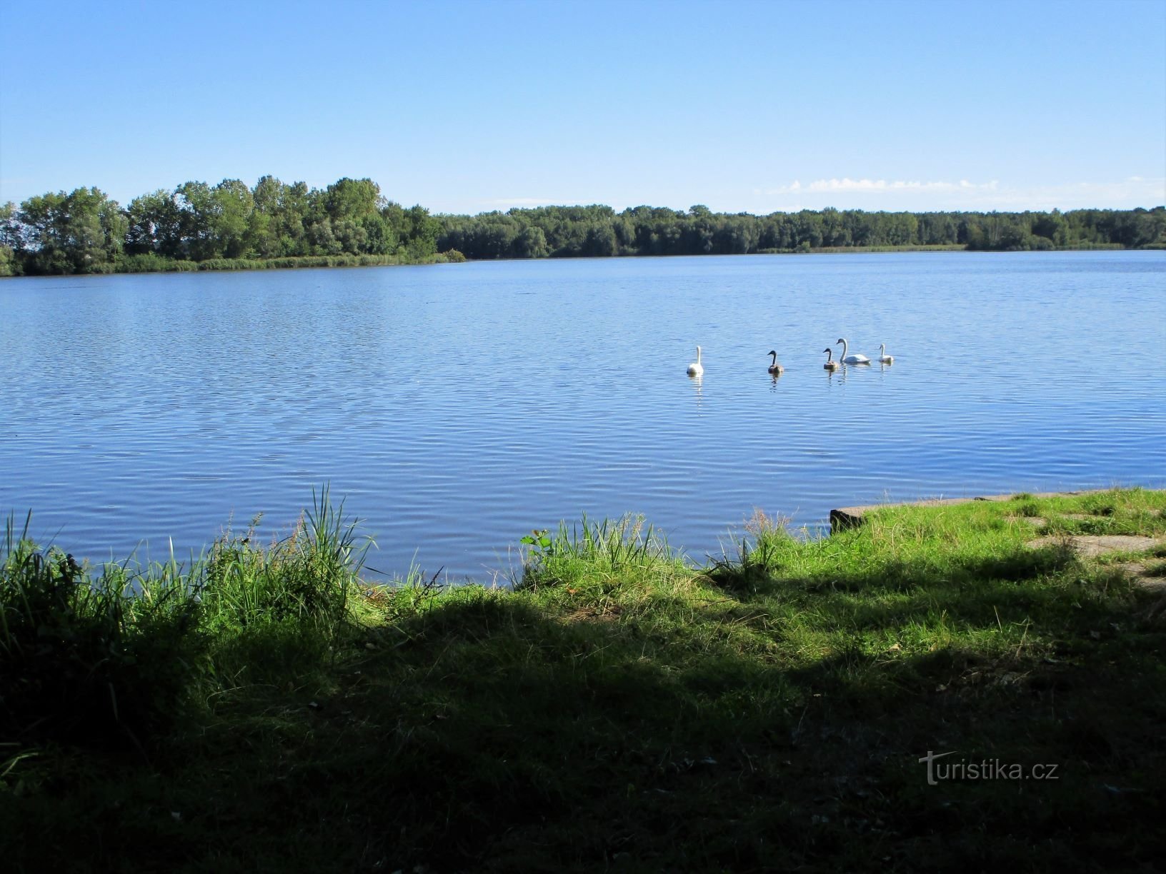 Пограновський ставок (Pohránov, 28.8.2020)