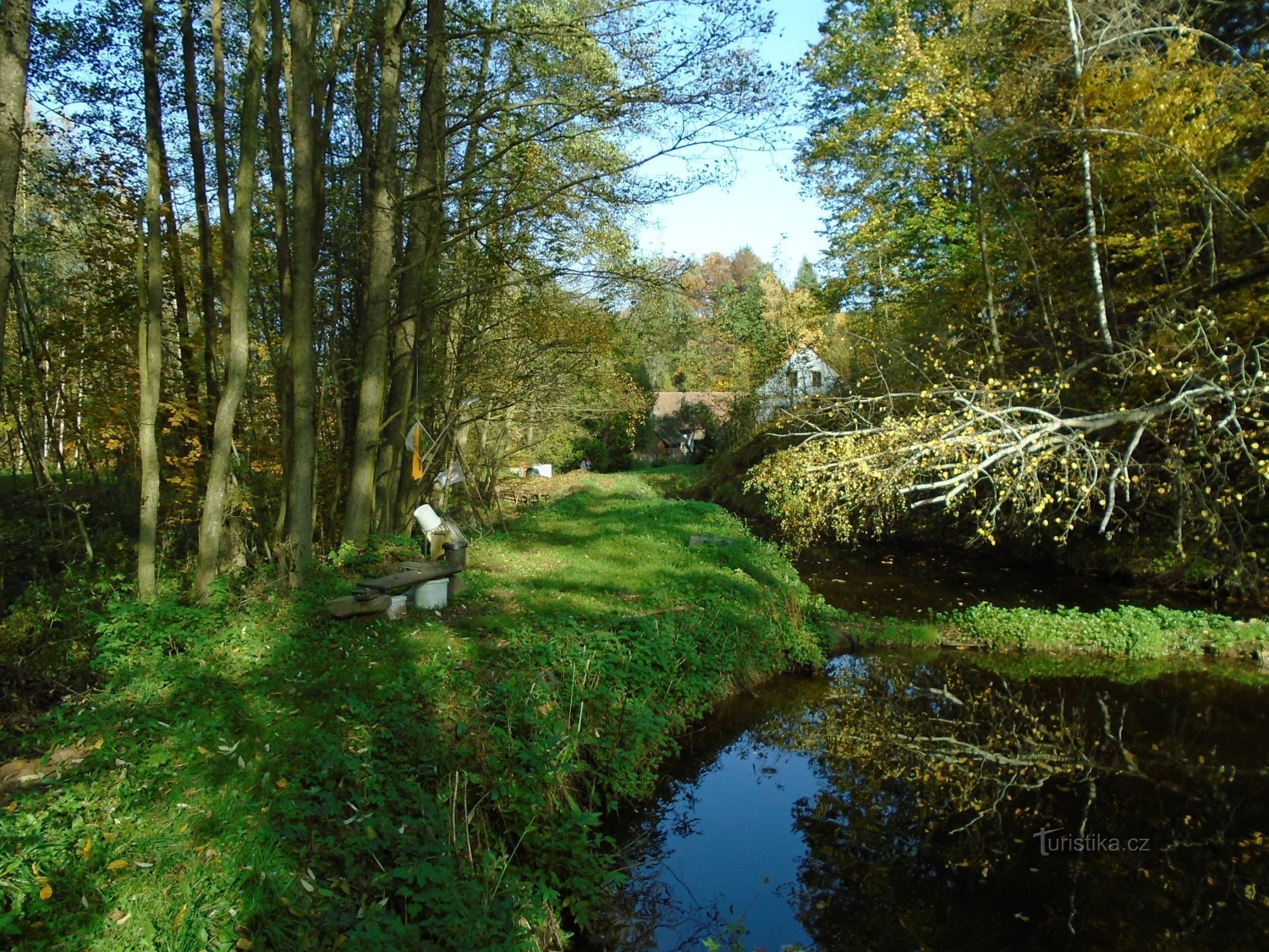 Ruisseau Poklekovský devant le moulin (Havlovice, 17.10.2017/XNUMX/XNUMX)