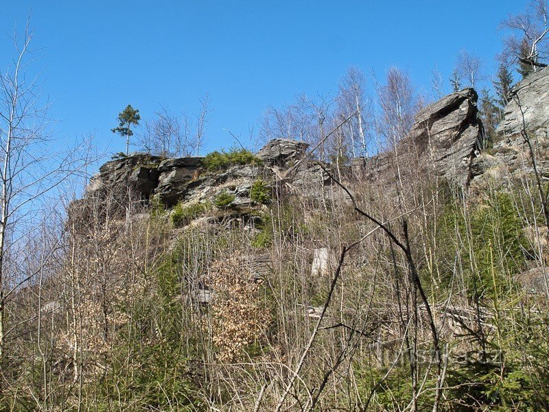 Kontynuacja ogrodów skalnych