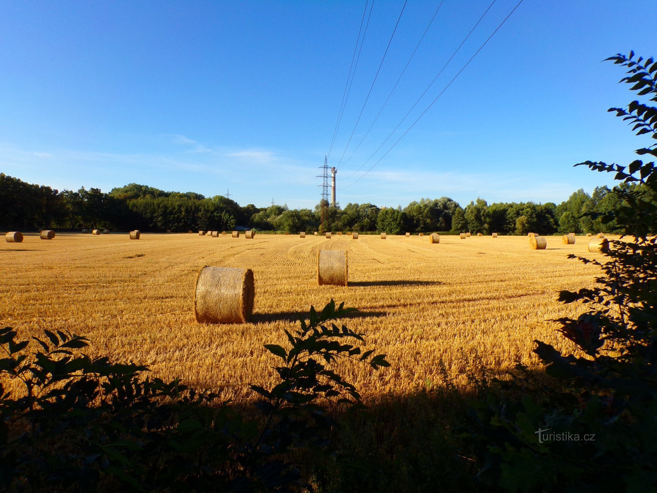 Campo cerca del Gran Labské nahon (Předměřice nad Labem, 7.8.2022 de agosto de XNUMX)