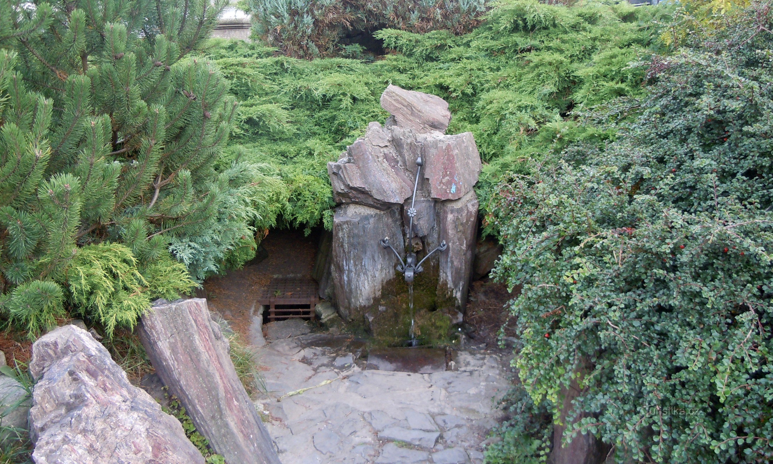 Shelf at Metují - Julínka spring