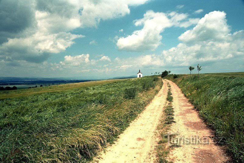 strada campestre da Měnín a Řimice