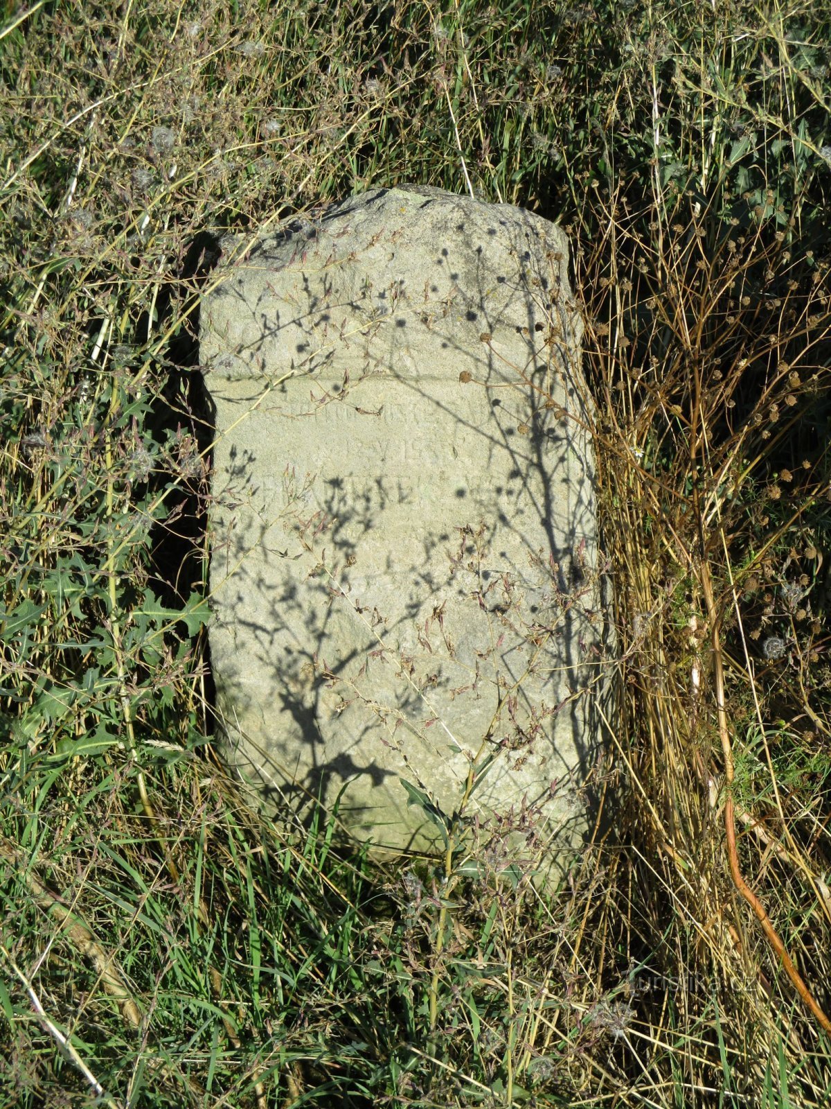 Monumento a František Velc (Sedlice)