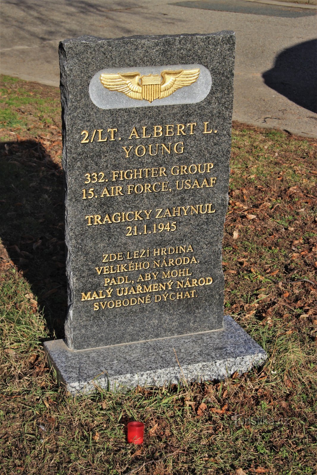 pomník Alberta B. Younga