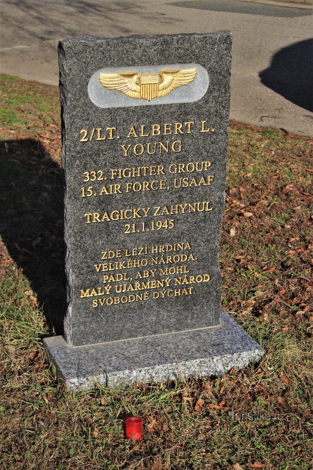 monument voor Albert B. Young