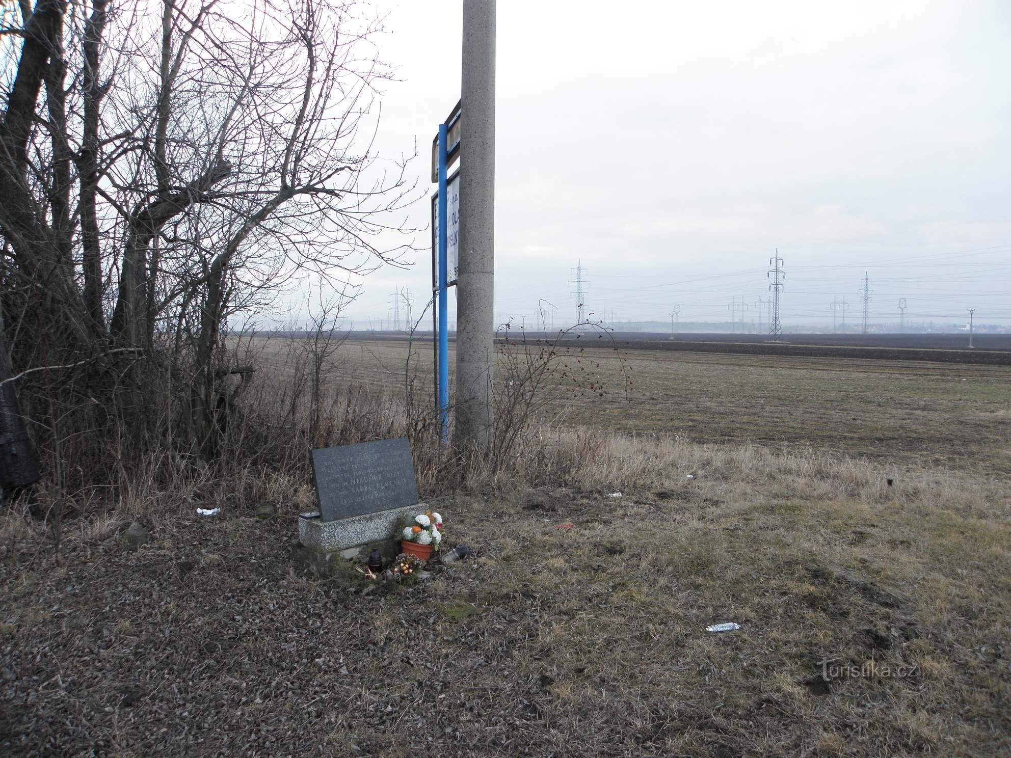 Monument des aviateurs - Sokolnice - 1.3.2012