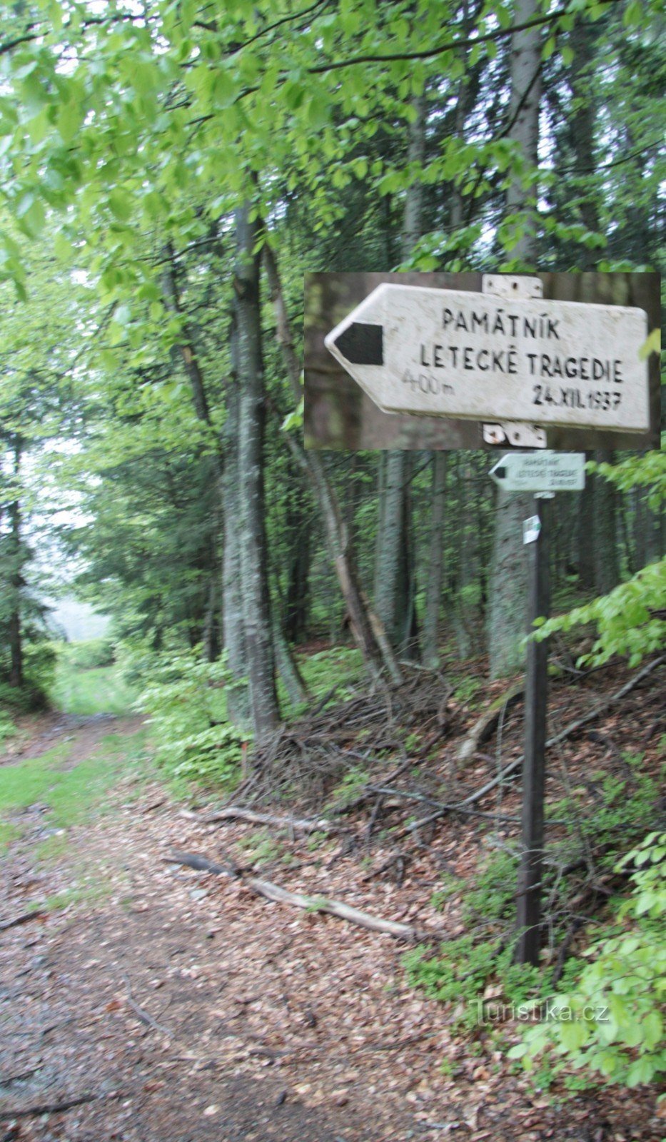 Monument aux victimes de l'accident d'avion près de Zhůří