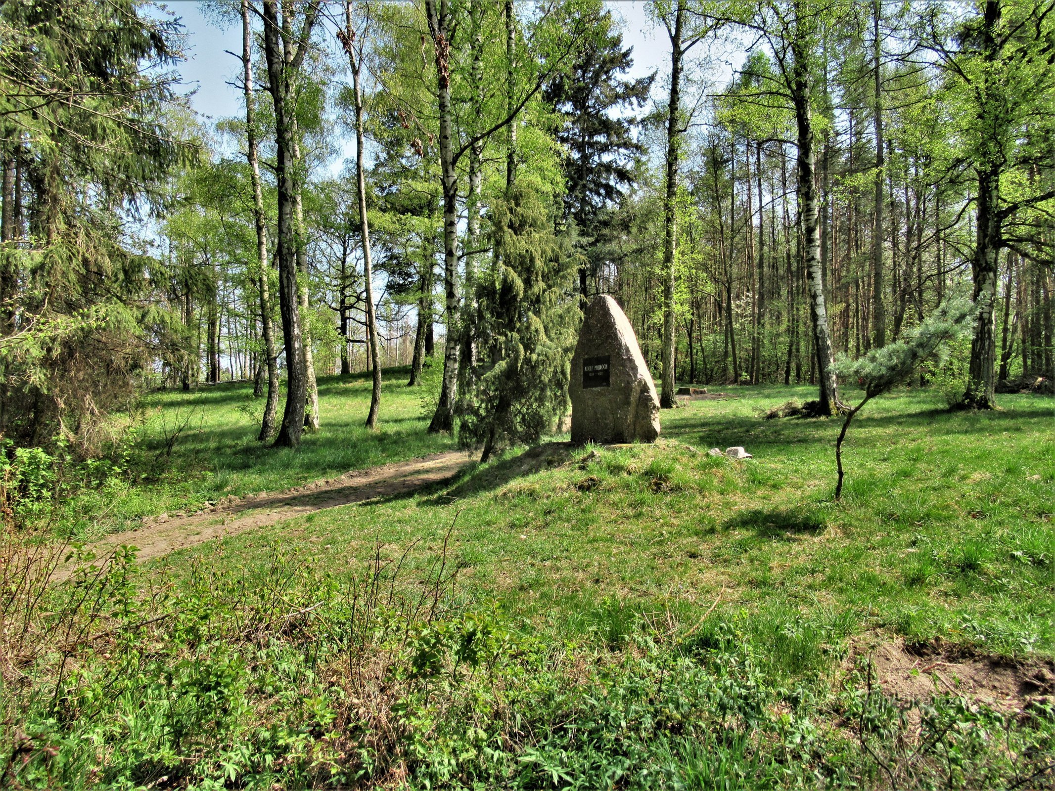 Pomník se nachází uprostřed palouku