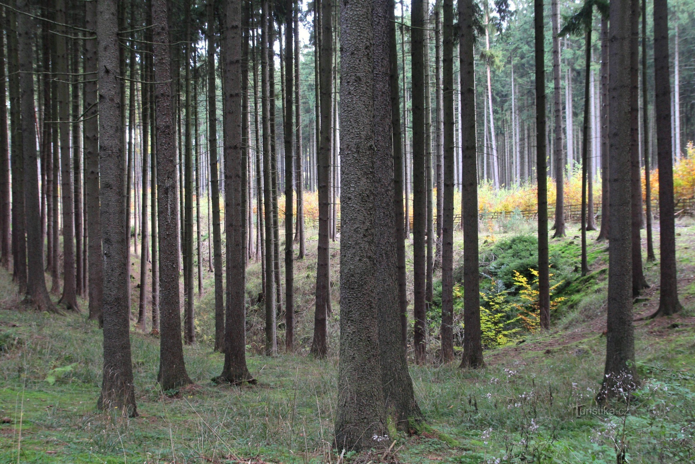 Ponorová část údolí