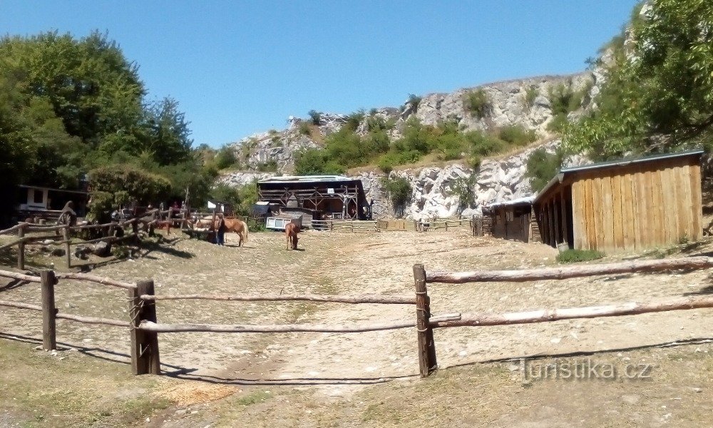 Trang trại ngựa con Klentnice / Mikulov