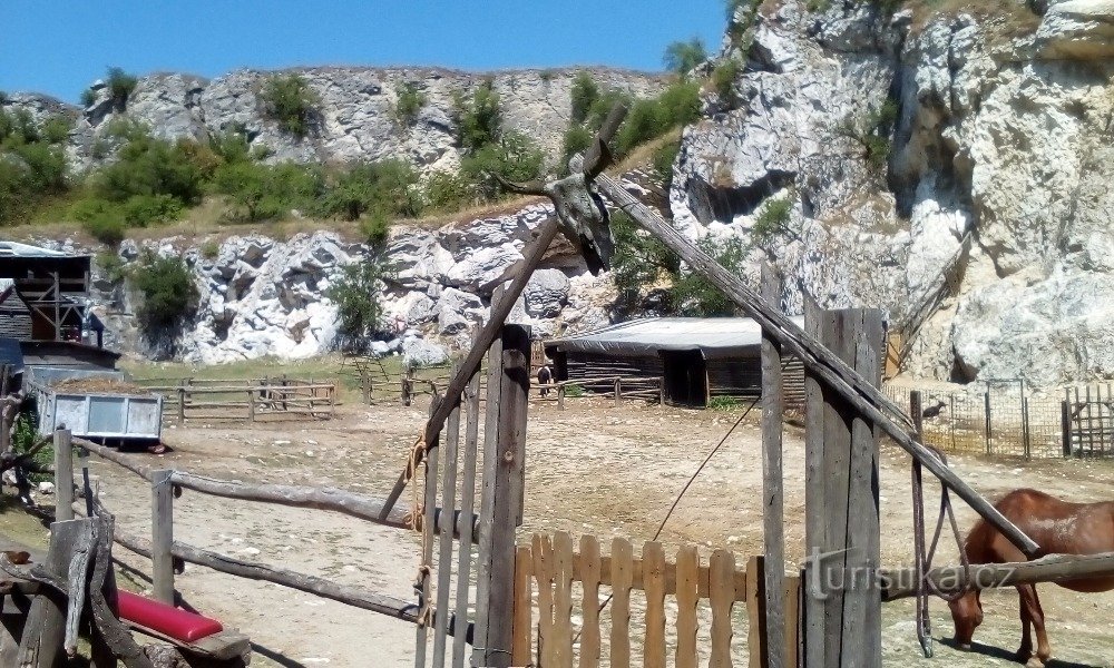 Trang trại ngựa con Klentnice / Mikulov