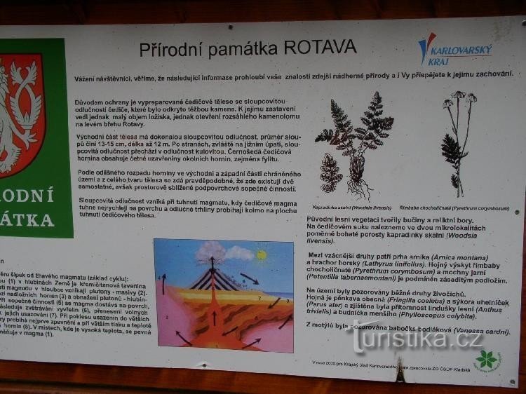 Descrierea organului Rotava