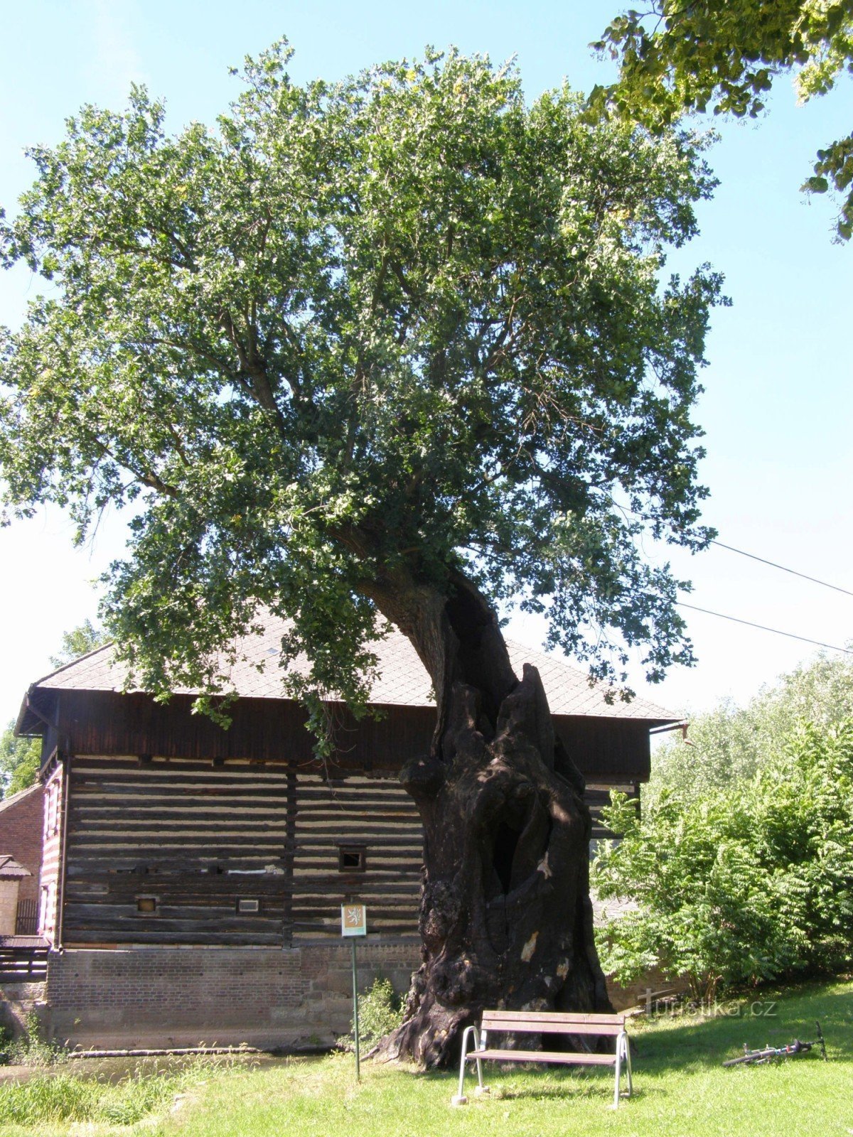 Popovice - moulin et vieux chêne