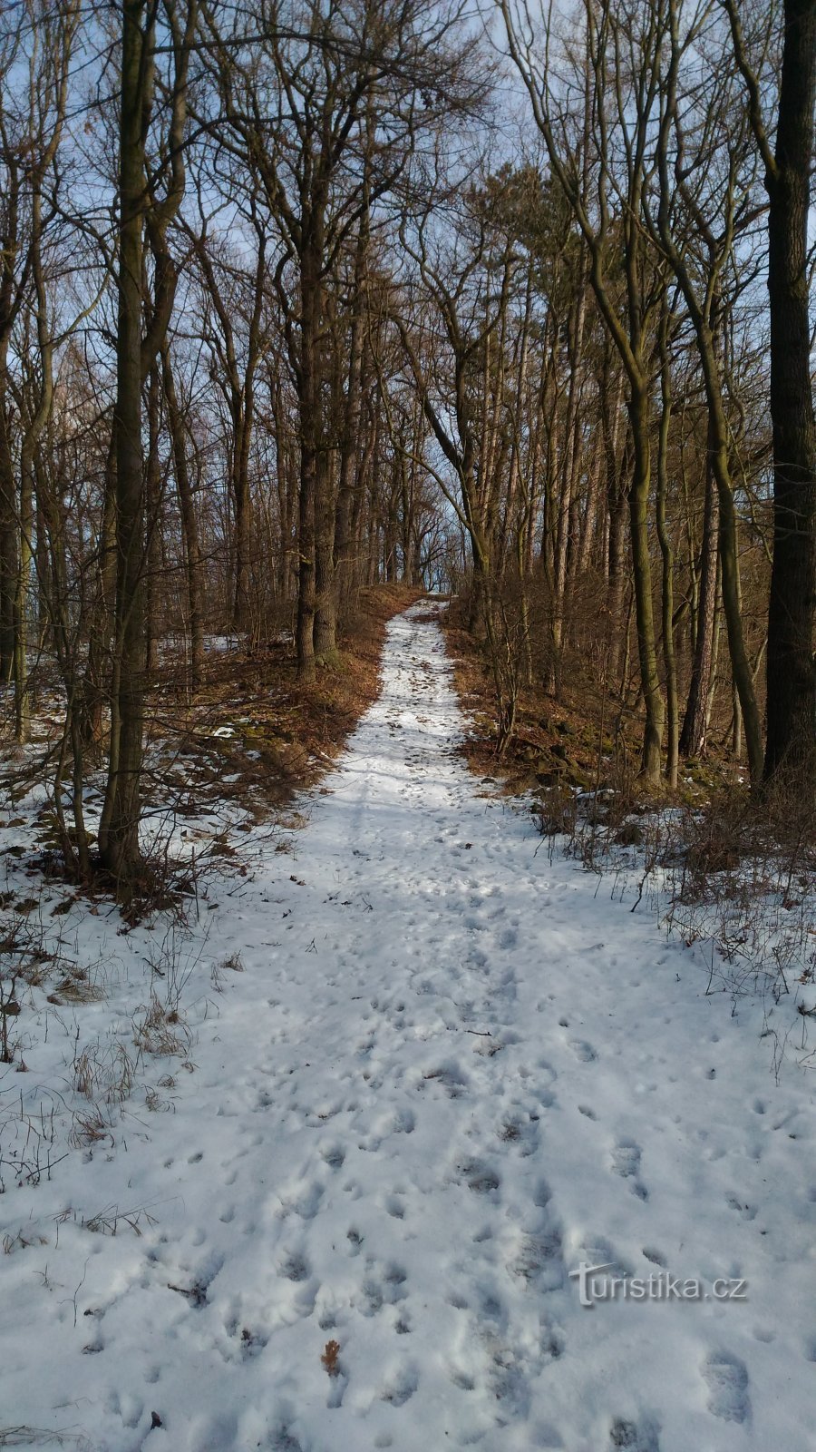 collina di Popovicky.