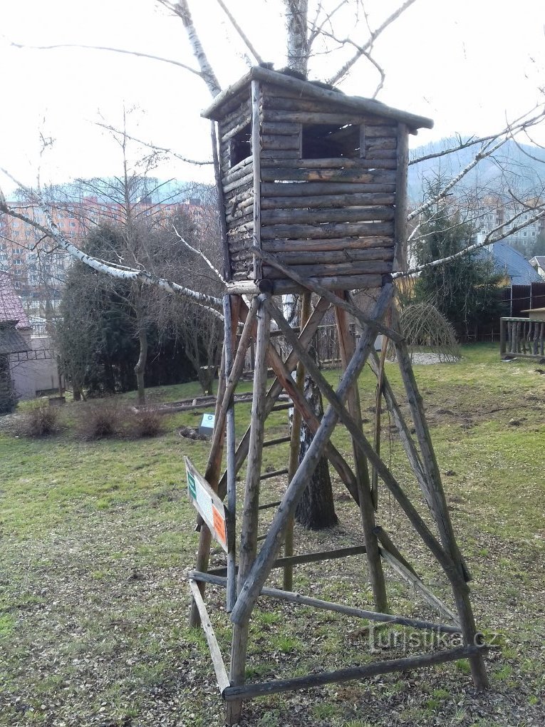 stând la fostul padoc al porcului lui Beruška