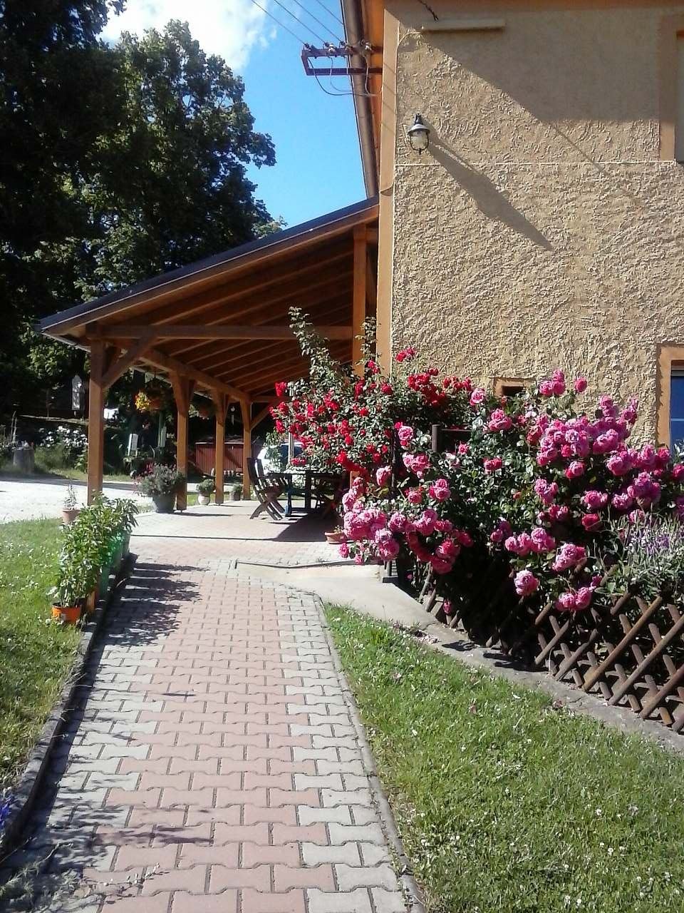 posezení pod pergolou