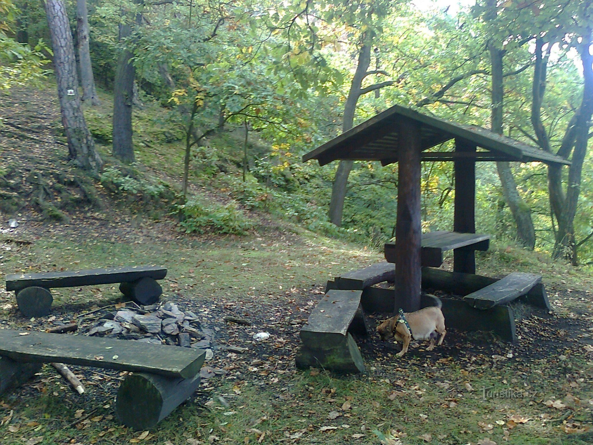 Sala de estar con chimenea