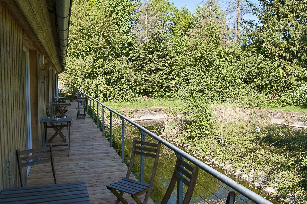 Zittend aan de biotoop in het Motel