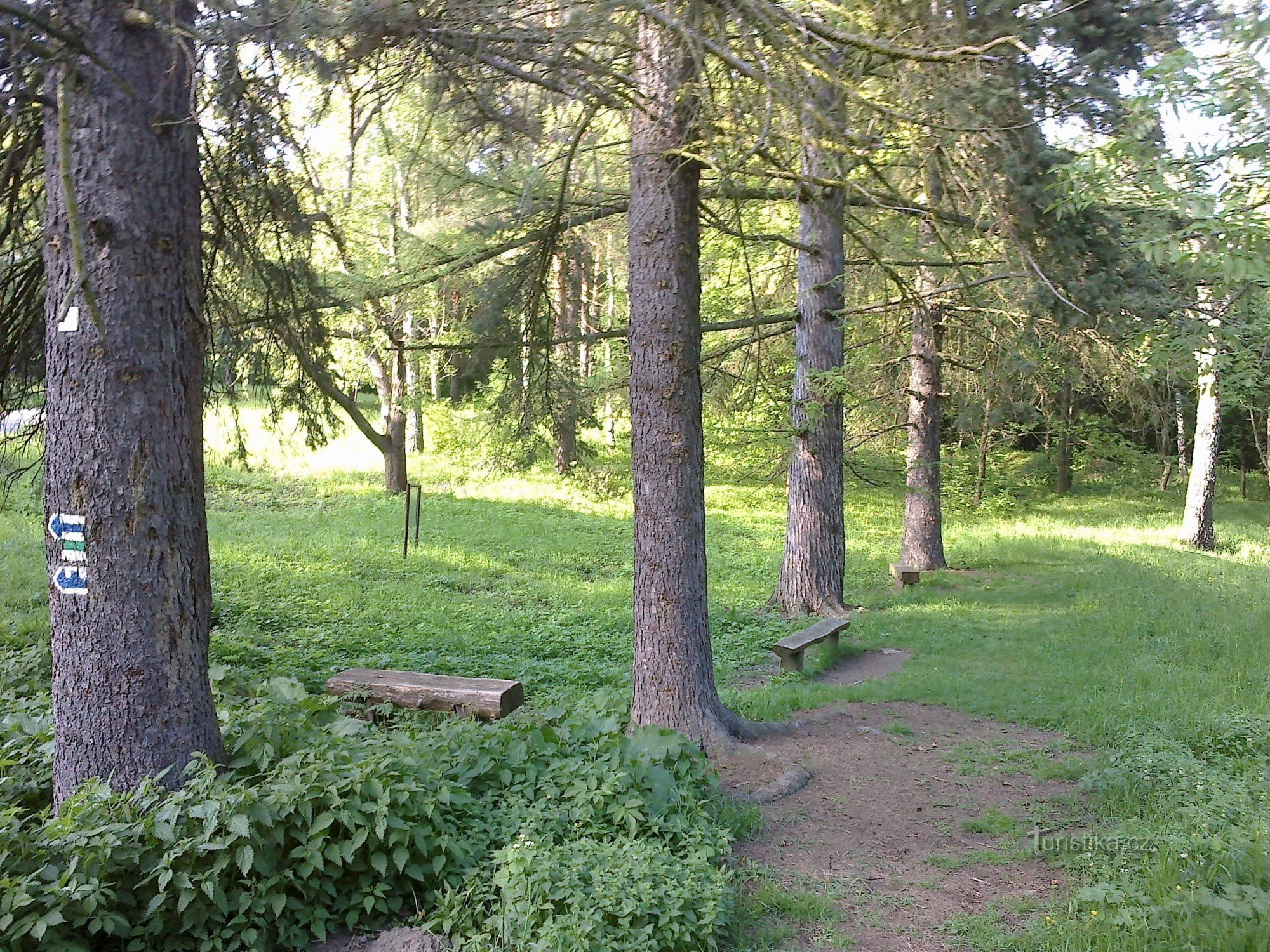 Stând lângă piscină