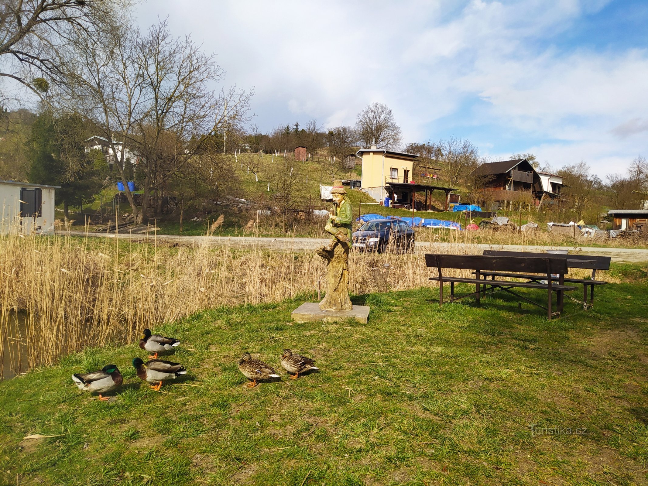 Siedząc nad stawem...