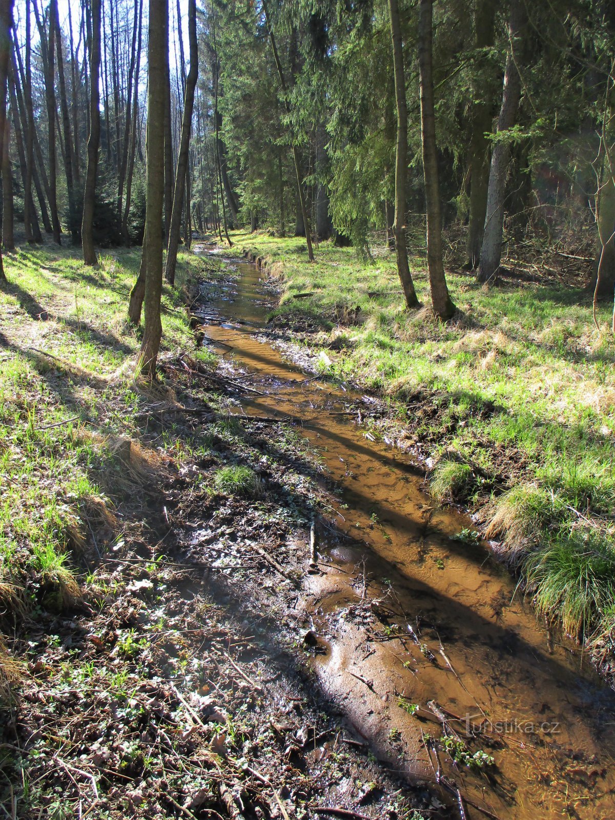 De Biřička-stroom voordat hij de gelijknamige vijver binnengaat (Nový Hradec Králové, 8.4.2020 april XNUMX)