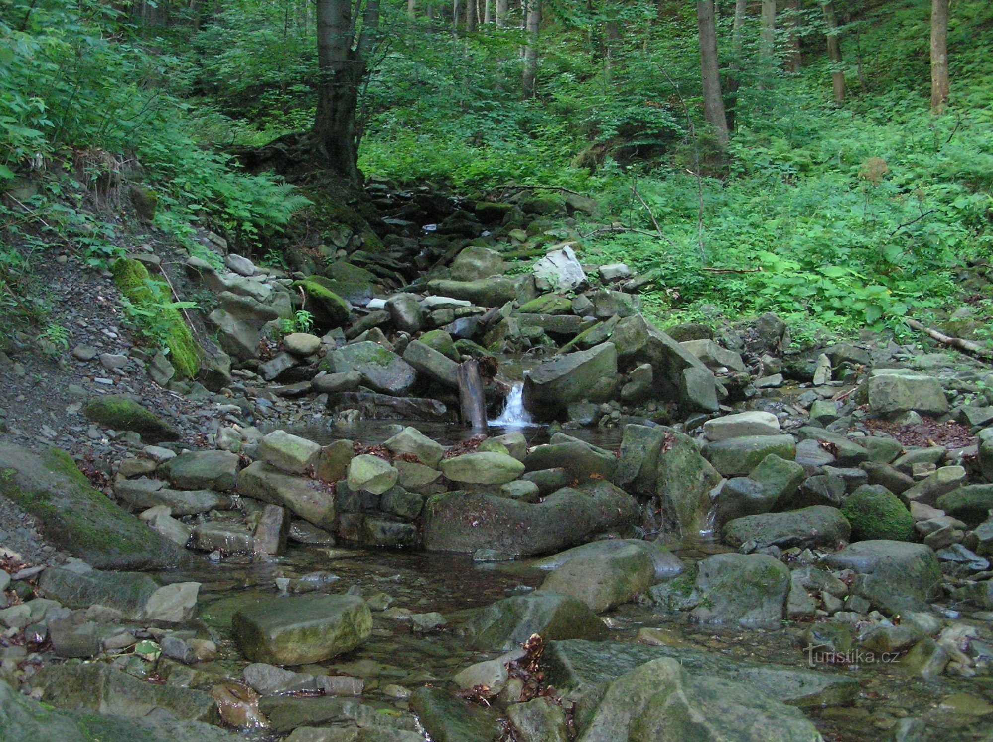 Torrente Bucaci