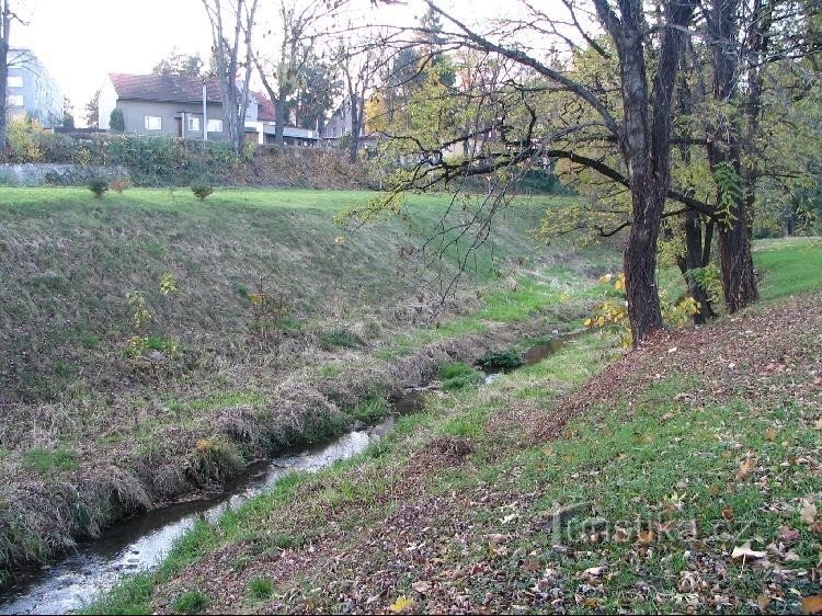 Fluxo de Grasmanka em Nové Jičín