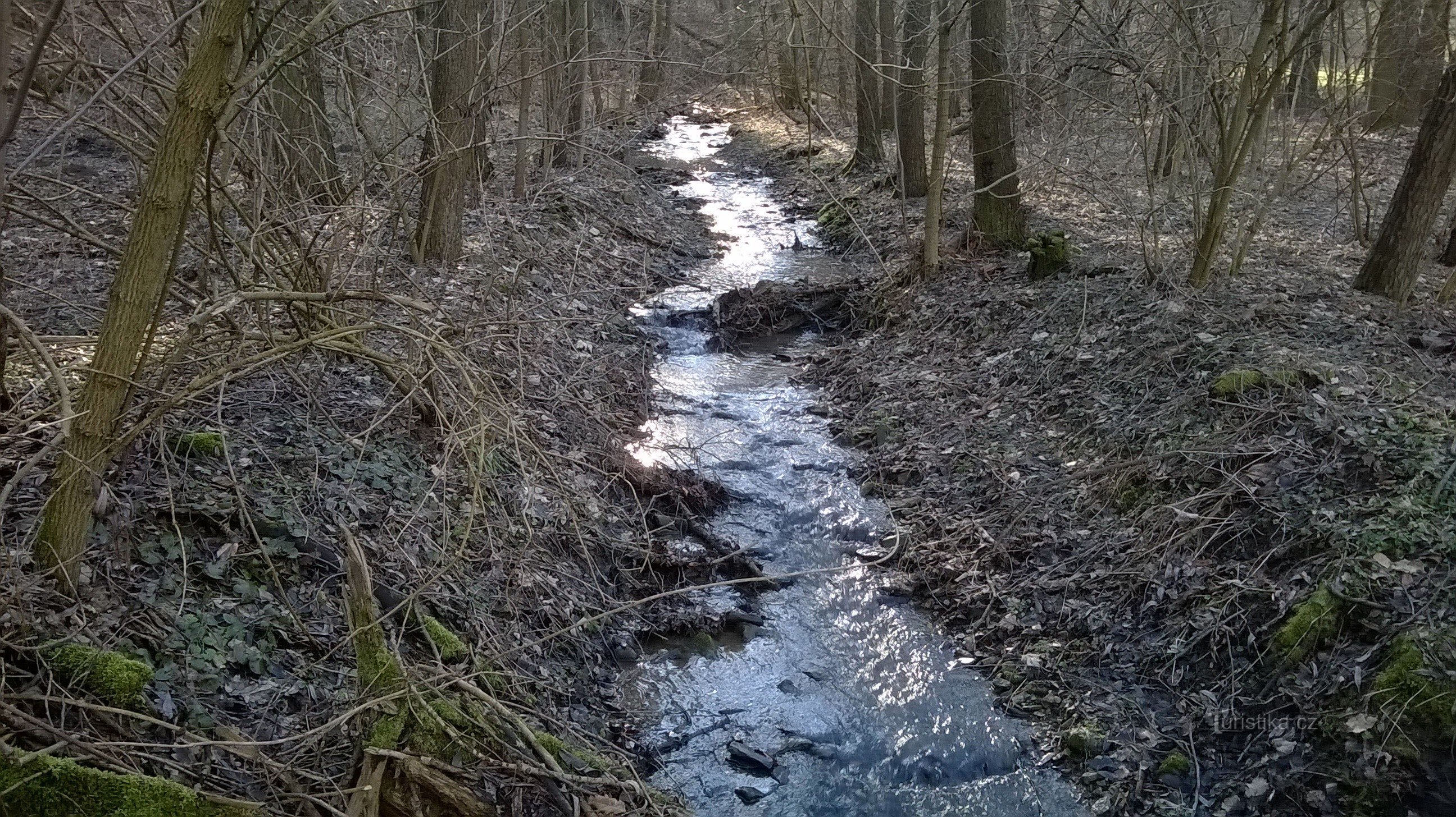 Krkavec stream