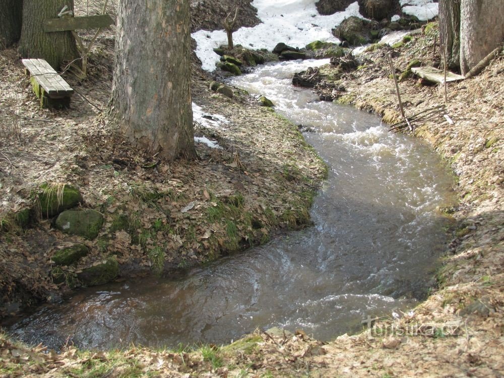 strumień, który wypływa z Bečkovo