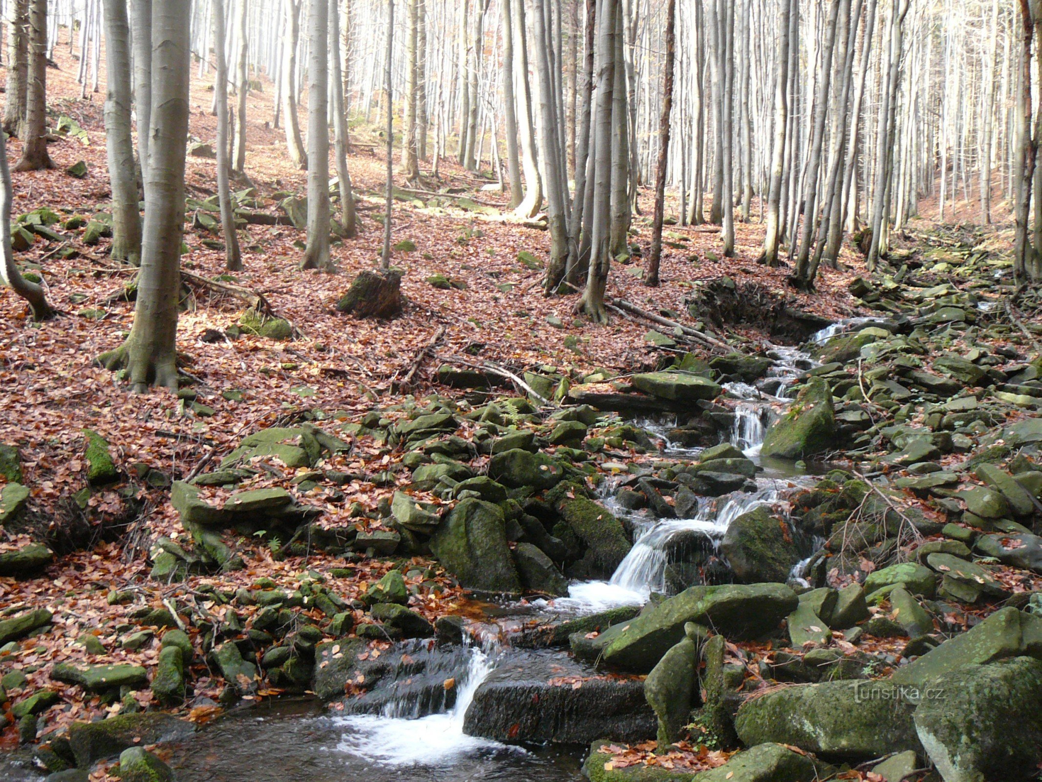 ruisseau Kyčerov