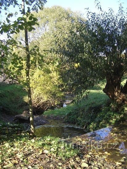 stroom tussen Strážnica en Kamenice