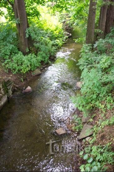 pârâu: un loc mic nu departe de plută... natură frumoasă...