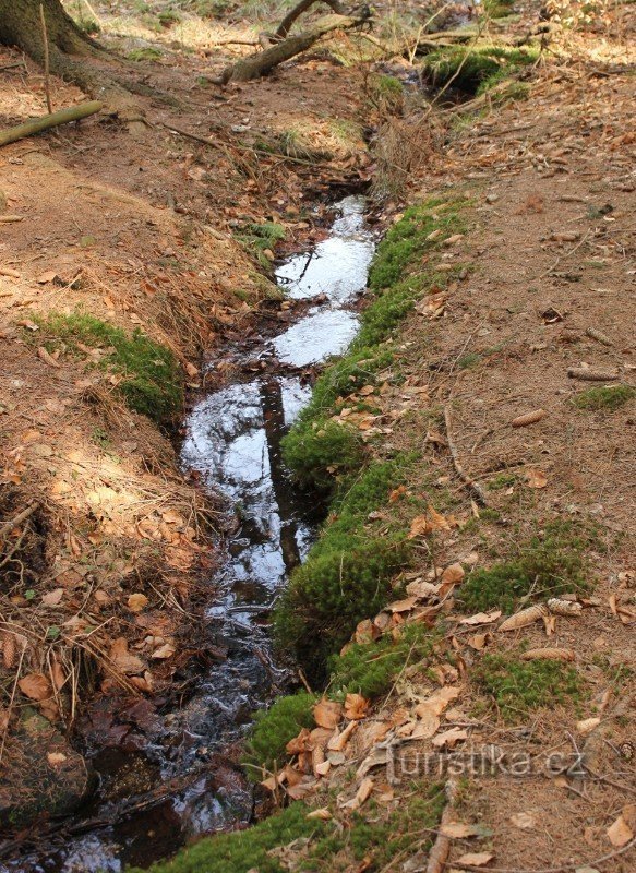 Stream from the well
