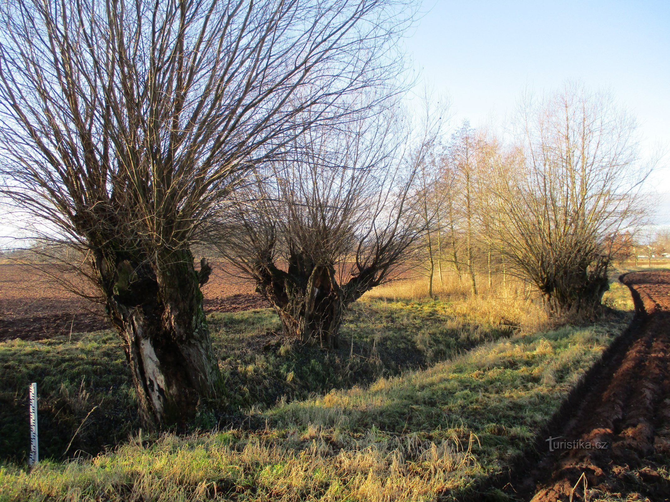 Olšovka Stream (Lochenice)