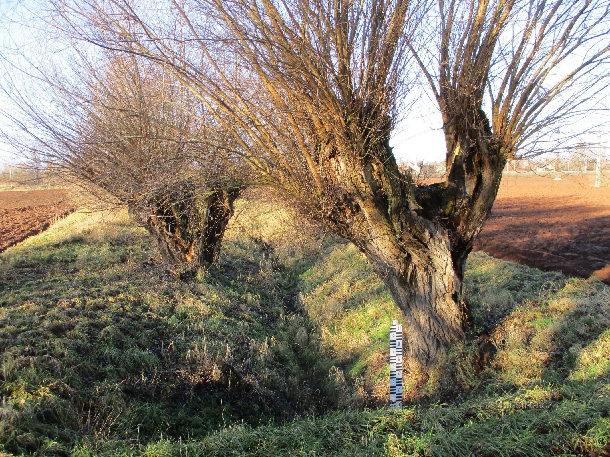 potok Olšovka (Lochenice)