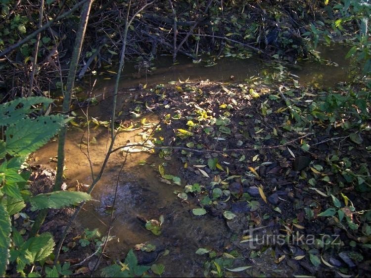 Ruscello: Veduta del torrente Nadějkovský