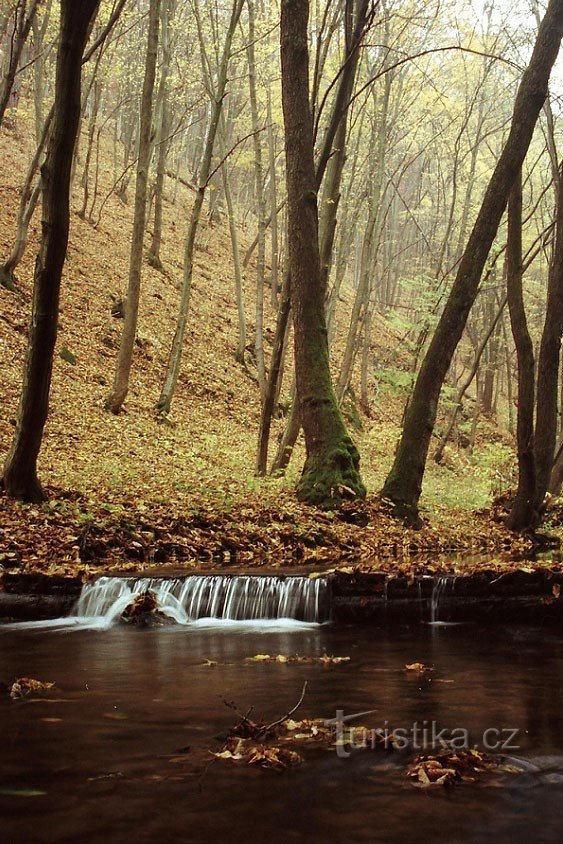 струмок Річка