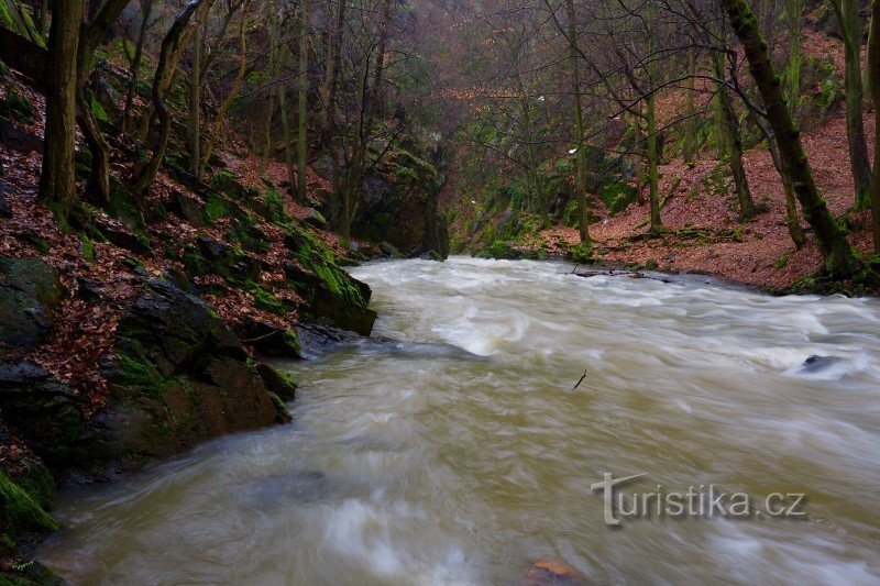 In questi luoghi, il torrente deve inserirsi in uno stretto varco, solo circa 1 m nel punto più stretto