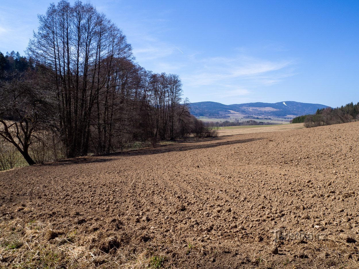 Der Bach fließt in Richtung Buková hora