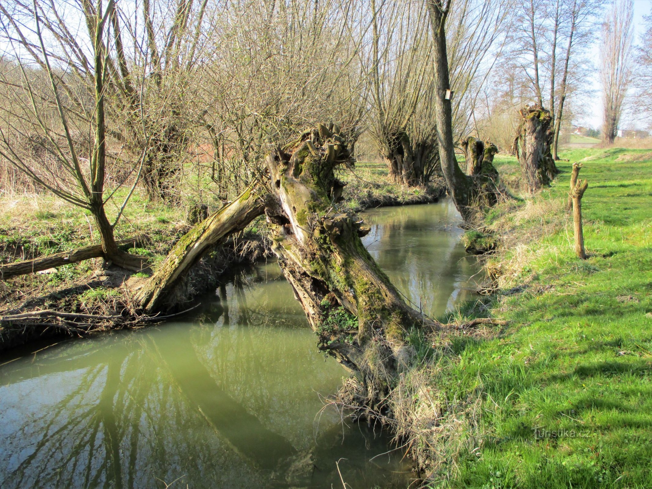 Potok Trotina, dříve Trotinka (Lochenice, 2.4.2020)