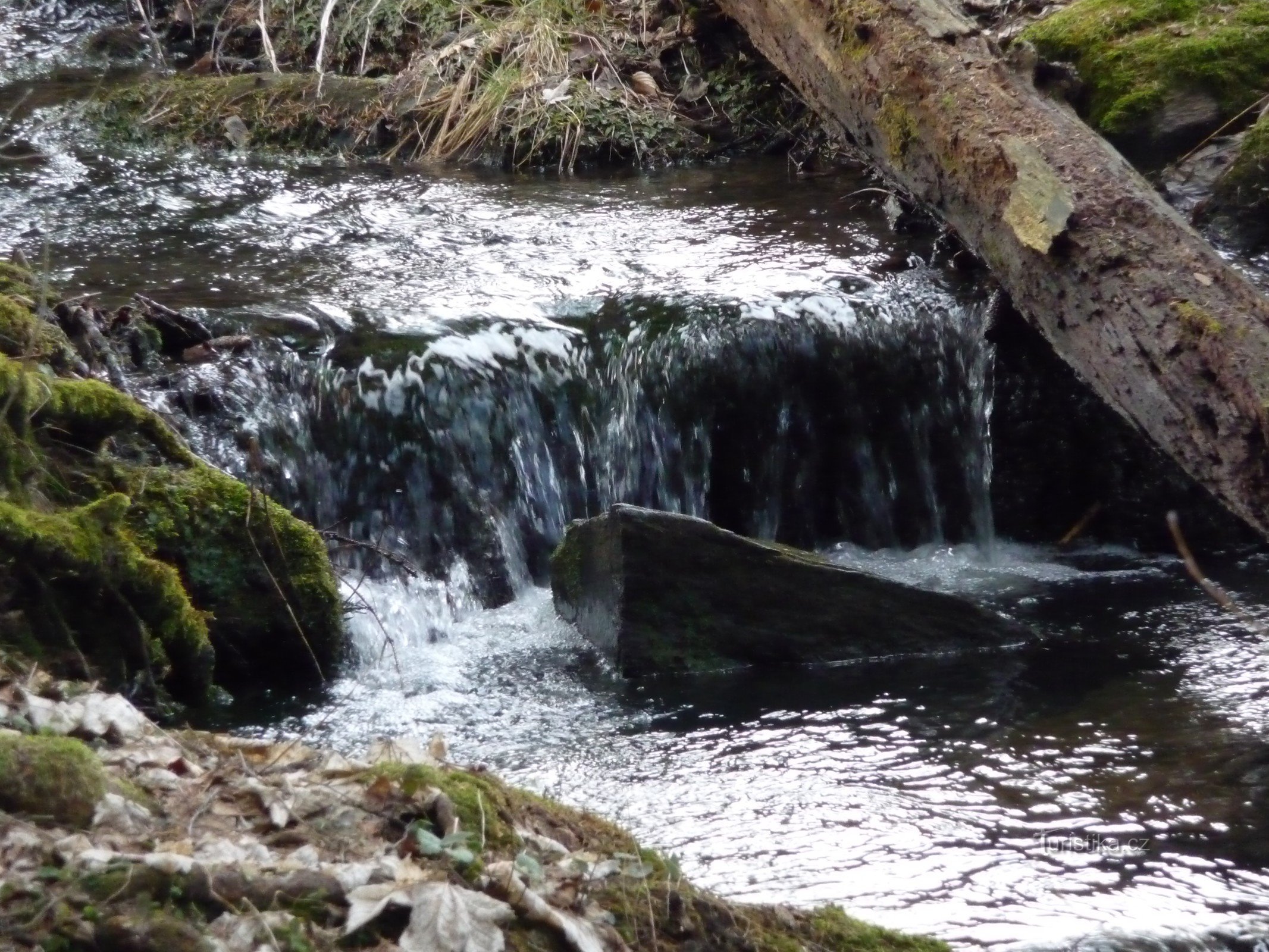 stream near Dašov