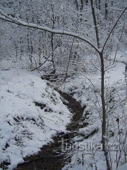 ruisseau près de Krnalovice