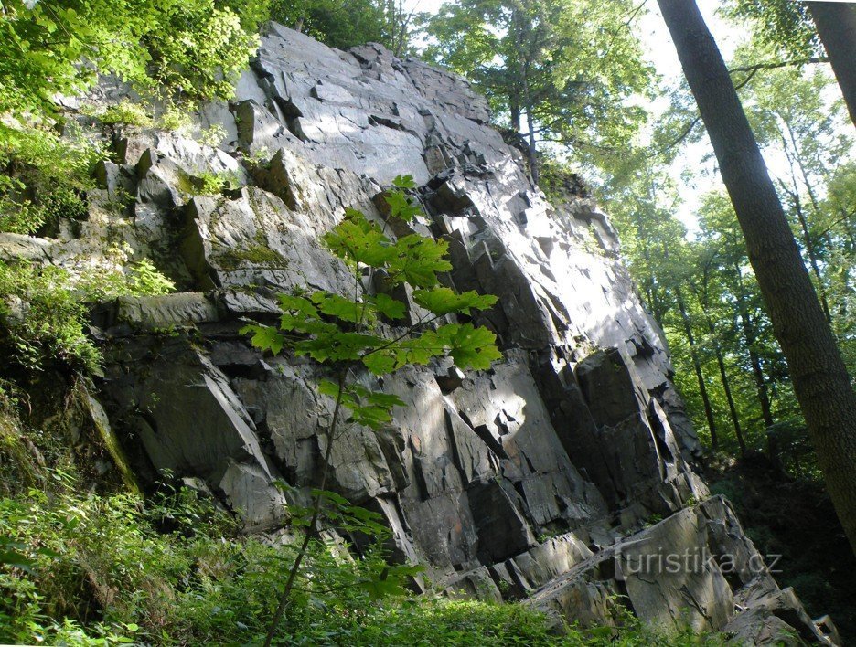 Піддержава Rock City