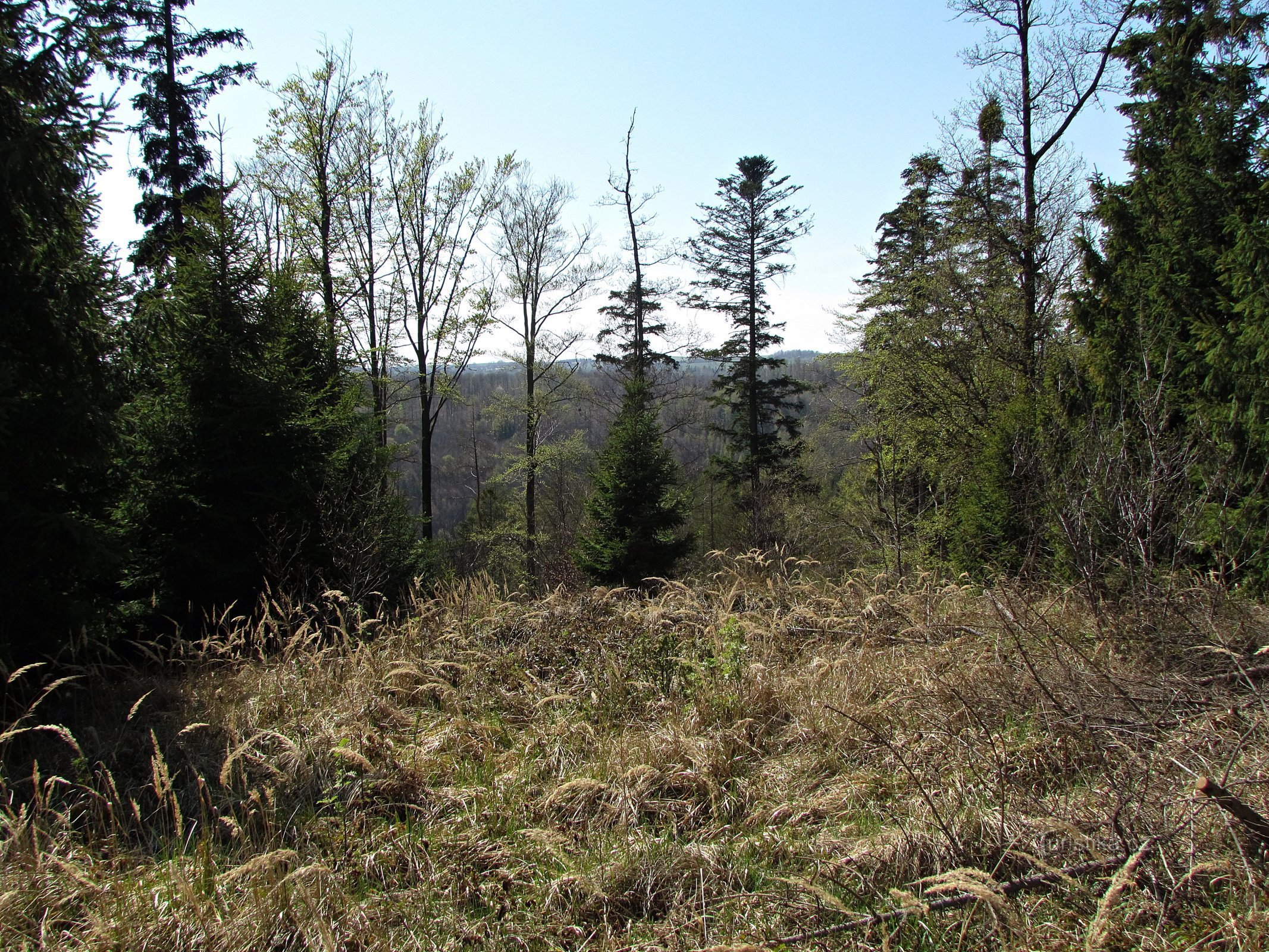 Potstatsko - Beim alten Aussichtsturm