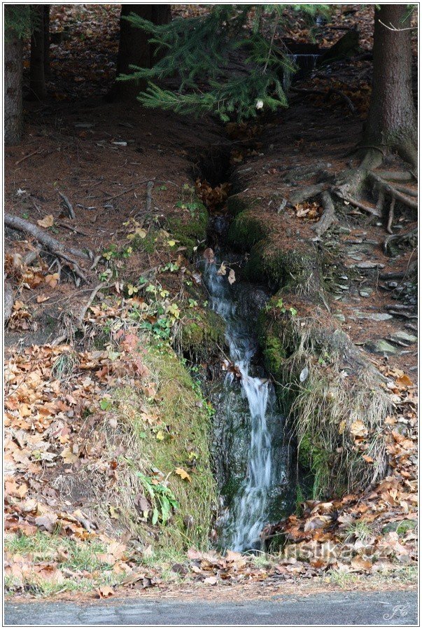 Ruisseau au-dessus du moulin