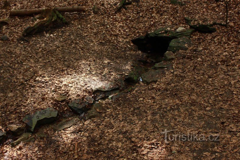 Stream aus dem Silberbrunnen