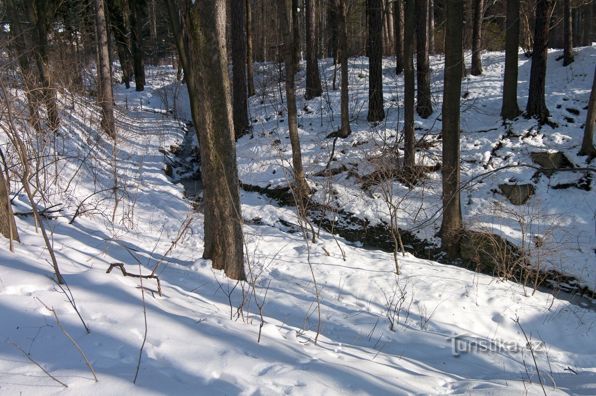 Stream from Zlaté Chlum