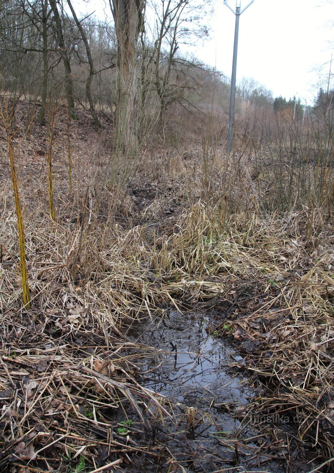 A stream flowing through the marsh from the well