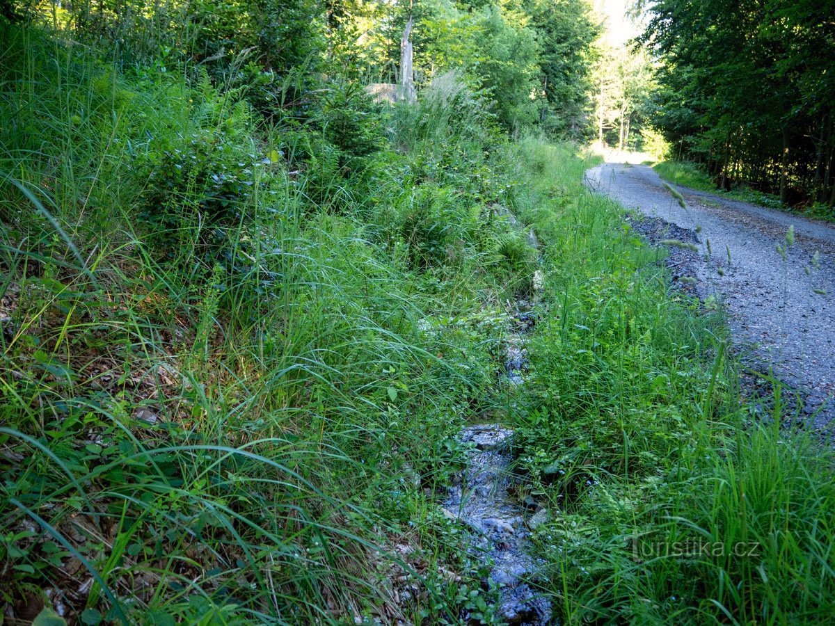 A small stream by the road on the side of Černá strána